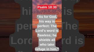 Powerful Psalms for Protection 🙏  Find Peace amp Strength in Scripturequot biblequotes godsprotection [upl. by Lehcer]