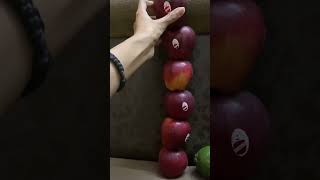 Apple tree 🙂falling apples 🫣 ASMR videos [upl. by Margret363]