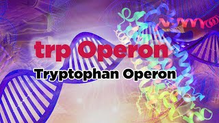 trp Operon  Tryptophan Operon [upl. by Ahtaga]