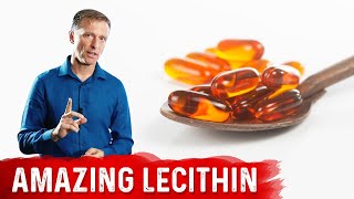 The 11 Benefits of Lecithin [upl. by Nyllek87]