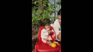 Baby Monkey eating fruiyt with Mom very yummy baby1 baby2 baby3 monkey [upl. by Knowlton]