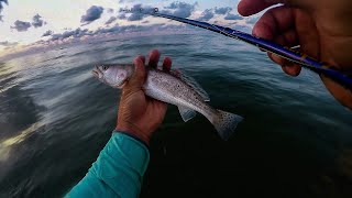 Surfside Texas Speckled Trout wade fishing [upl. by Amand426]