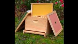 First Year Of Beekeeping basic equipment starting your beehive [upl. by Lillis969]