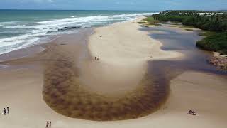 Playa Imbassai Bahía Brasil vista por dron [upl. by Ancel]