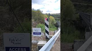 Fishing Access Points  New Zealand 🇳🇿 fishing rainbowtrout browntrout nature [upl. by Prasad909]