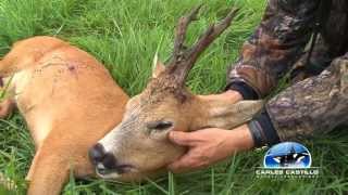 ROEBUCK HUNTING 13wmv [upl. by Atig]