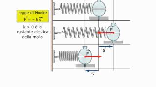 Il moto armonico di una molla [upl. by Lyrpa423]