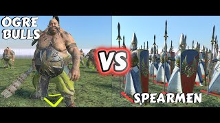 Who Will Win Ogre Bulls or Spearmen in Warhammer Total War 3 [upl. by Lemraj]