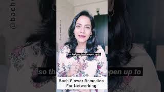 Bach Flower Remedies for Networking [upl. by Yddeg]