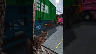 cat kucing bussimulatorindonesia kucinglucu bussid [upl. by Burl]