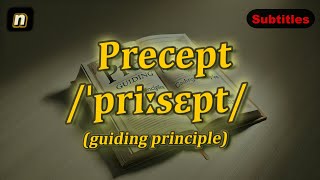 n Precept meaning guiding principle with 5 examples [upl. by Ytissahc479]