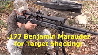 177 cal Benjamin Marauder for Target Shooting [upl. by Ahseiyn331]