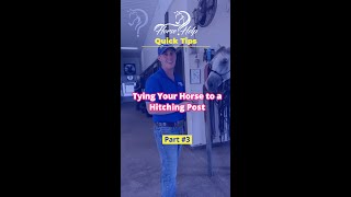 Intro To Tying Your Horse To A Hitching Post Part 3  The Horse Guru  Michael Gascon [upl. by Einnok]