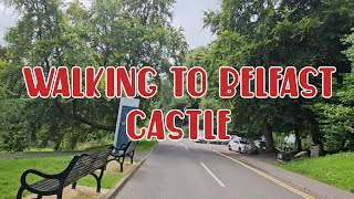 Belfast Castle Travel by bus and walking tour l A Hidden Gem of History and Beauty [upl. by Monty12]