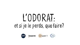 LODORAT  et si je le perds que faire [upl. by Kos]