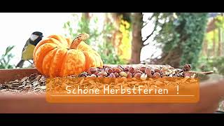 Schöne Herbstferien [upl. by Grimaud]