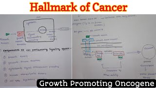 Hallmark of Cancer 14  Growth Promoting Oncogene  Neoplasia [upl. by Yruama144]