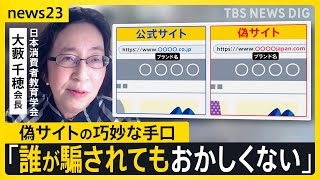 急増する偽ショッピングサイト「殺すぞ」「家に火つけるぞ」電話番号などが勝手に偽サイトに転載され脅迫…消費者教育の専門家もだまされた巧妙な手口とは【news23】｜TBS NEWS DIG [upl. by Ihsoyim866]