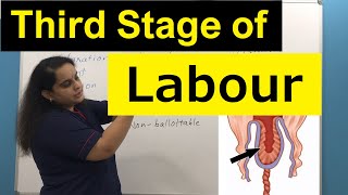 Third Stage of Normal Labour  Physiological Events amp Clinical Significance  Nursing Lecture [upl. by Hauger971]