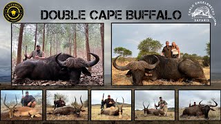 Double Cape Buffalo amp Plains Game Hunt with Carlo Engelbrecht Safaris [upl. by Adnawed]