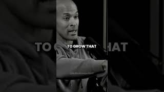 David Goggins Top Tips to Build Unstoppable Willpower 💪🔥 motivationsparkle07 shorts [upl. by Reese868]