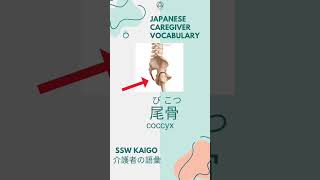 1 Kaigo Japanese Caregiver vocabulary every day 介護士 言葉 [upl. by Stevy594]