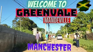 GREENVALE COMMUNITY IN MANDEVILLE MANCHESTER JAMAICA [upl. by Sidran]