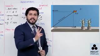 Class 11 Physics Representation of Vectors by Sir Hassan Fareed [upl. by Atinit680]