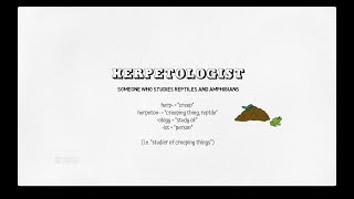 Herpetologist Online with Peter Uetz June 25 2020 [upl. by Aneeroc931]