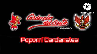 Popurrí Cardenales  Varios Éxitos  Cardenales del Éxito [upl. by Nalyk]