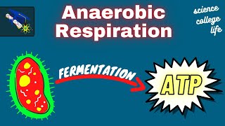 Anaerobic Respiration Fermentation  Microbiology Lecture [upl. by Marder]