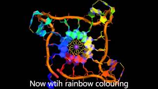 The parallel DNA Gquadruplex [upl. by Innej]