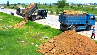 Excellent Technique Dump truck unloading soil Skill operator Bulldozer Working push Soil filling up [upl. by Engeddi201]