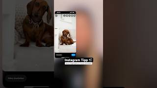 Youtube Kanal oder Video Link in Instagram Story verlinken teilen [upl. by Oiramat]