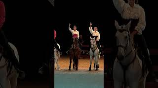 Voltige by Cavalflip  Equestrian Night Shows [upl. by Fabe]