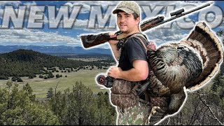 PUBLIC LAND Merriams Turkey Hunt Southern Boy Goes West [upl. by Leis605]