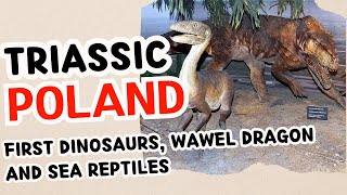 How did Poland look like 230 million years ago First dinosaurs and the Triassic world [upl. by Mozza149]