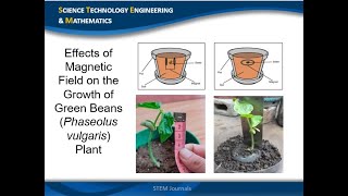 Effectiveness of Magnetic Field on Plant Growth  STEM Research Project [upl. by Moira31]