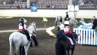 Walk Corto Leadline at Midwest Classic 2011 [upl. by Dambro734]