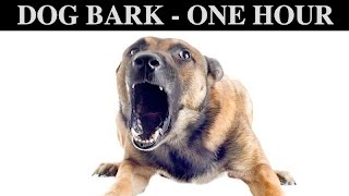 Sound Effects Of Dog Barking  ONE HOUR  BARK  GROWLING  CRY  PUPPY  WHINING  HQ [upl. by Frayda714]