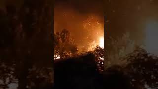 Incendio doloso del Monte Tuscolo  Frascati RM  23 Agosto 2019 [upl. by Anis]