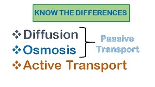 Cell Transport Diffusion osmosis active transport [upl. by Osgood927]