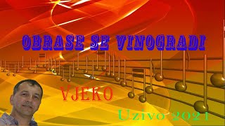 OBRASE SE VINOGRADIUZIVO 2021Vjeko [upl. by Nahsar]