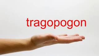 How to Pronounce tragopogon  American English [upl. by Colwen]