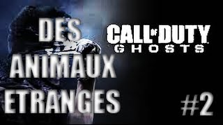 Des animaux que vous ne connaissez peutetre pas  2 I Gameplay Ghost [upl. by Icken]