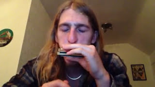 HOW TO PLAY THE BLUES SCALE  C HARMONICA 2ND POSITION LESSON [upl. by Eusadnilem]