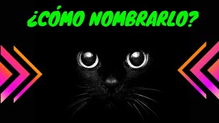 🔥🔥 Nombres para GATOS color NEGRO 🖤😺 Originales y Bonitos [upl. by Ahtel90]