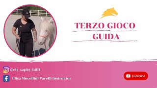 3° GIOCO PARELLI  GUIDA  ELISA MOCELLINI [upl. by Searcy815]