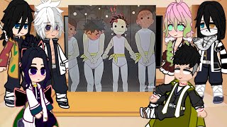 Hashiras react to themselves  KNY  Gacha reacts [upl. by Roderich]