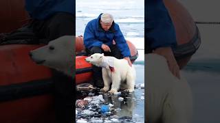 Help An old sailor saves a trapped bear showing kindness while cleaning theocean help shortslove [upl. by Florencia]